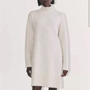 NWT Everlane Sweater Dress